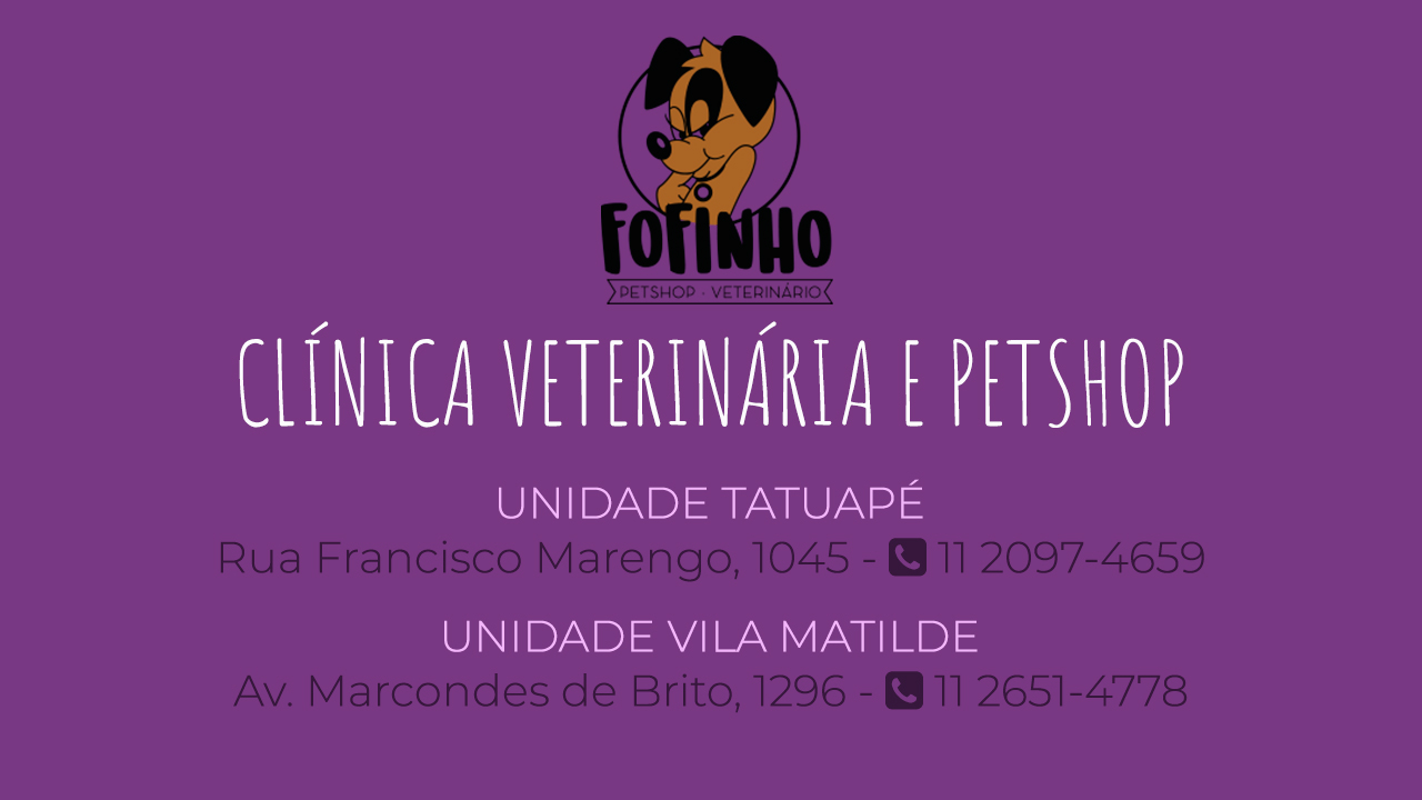 Fofinho Clínica Veterinária e Petshop