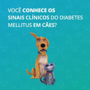 Diabetes Canina